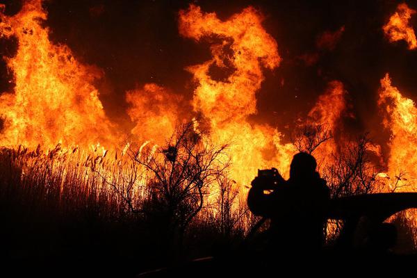 寵妾(大包子) 作 者: 大包子綾兒