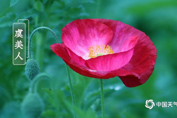 【快穿】媚骨嬌嗔(重生)