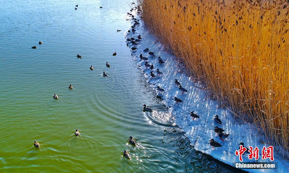 《離婚倒計時》by孟還百度網盤