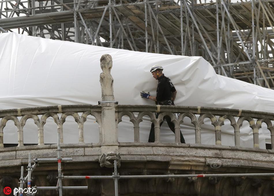 岑先生在cv圈地位