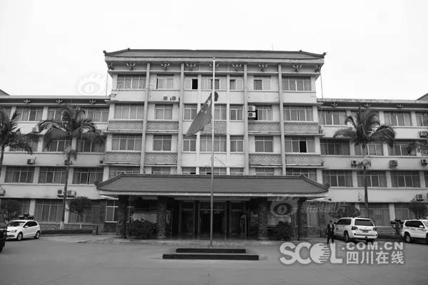 總裁的七日戀人txt百度云