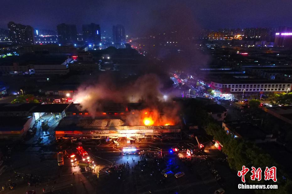 《女仆教育》動漫第一季觀看