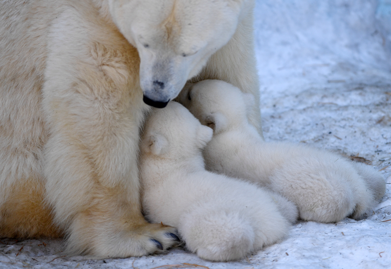 懲戒小鎮by筆趣閣