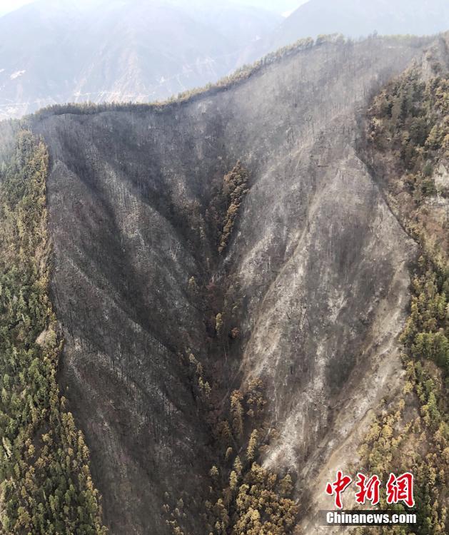 針鋒對決無刪減全文免費閱讀筆趣閣