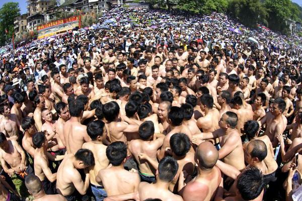 有螢曈曈(古言)