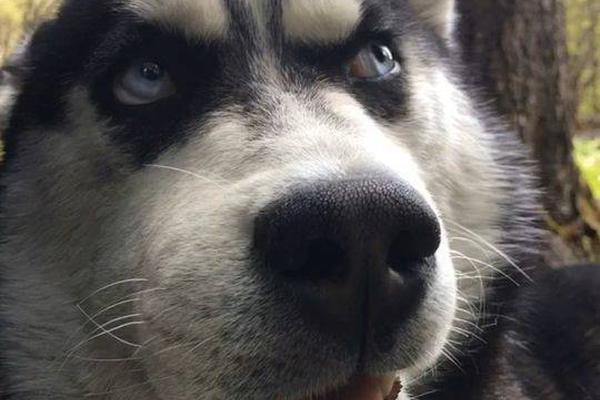 逞嬌by原媛男主叫什么名字