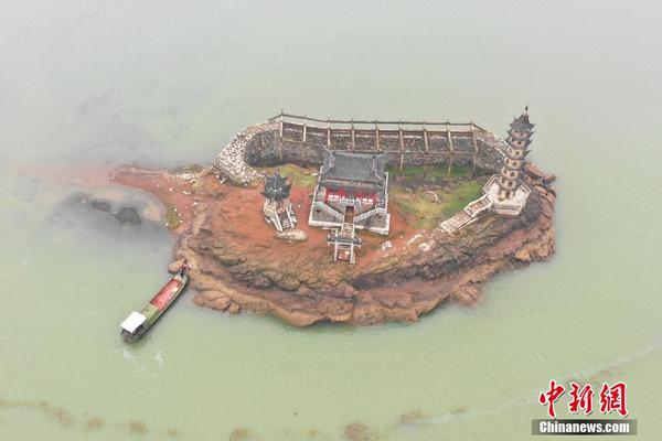 不想了By花卷免費閱讀簡介