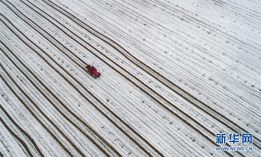 裝乖四月初一小說TXT下載