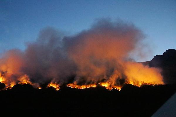 顧挽月蘇景行免費(fèi)閱讀