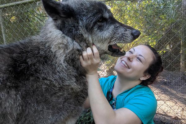 從紅月開始 筆趣閣