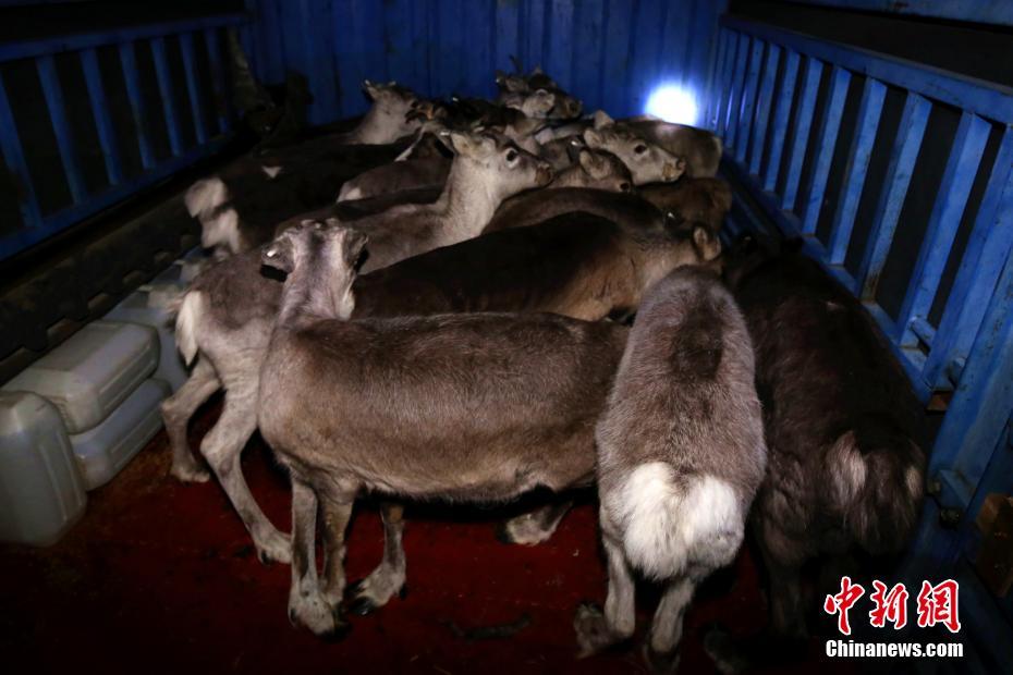 病美人by折紙txt百度網(wǎng)盤