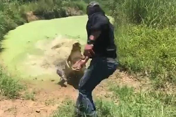 帝臺無春by依木txt