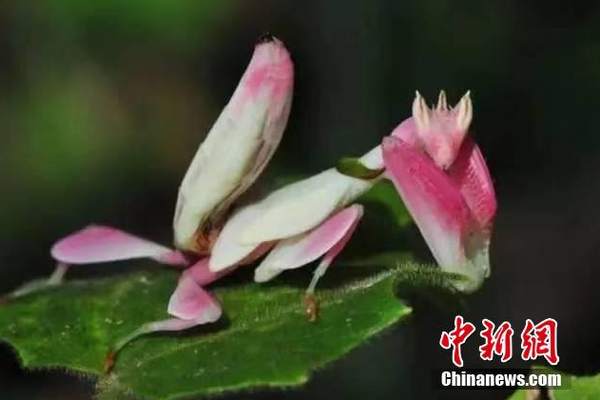 做盡反派 [lbk]快穿[rbk]