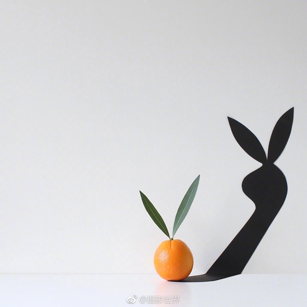 穿越知青下鄉1v1阿嫵的小說