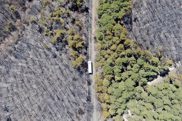 po校園文男主戀愛腦