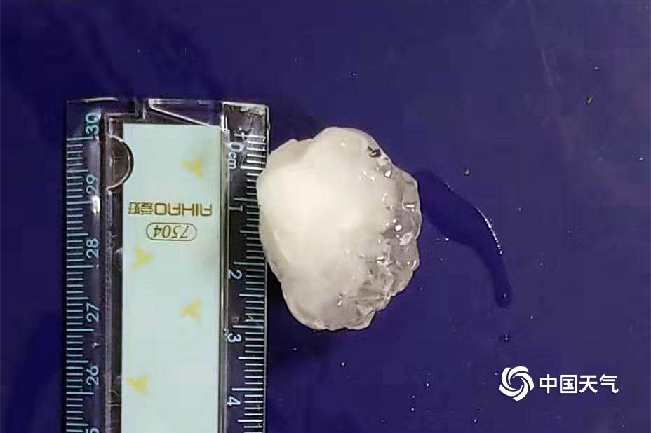 《胯下之臣》BY阿司匹林