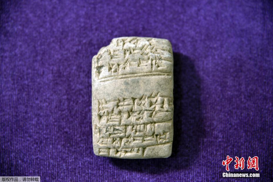 蟲族灌溉指南(n)白斯年