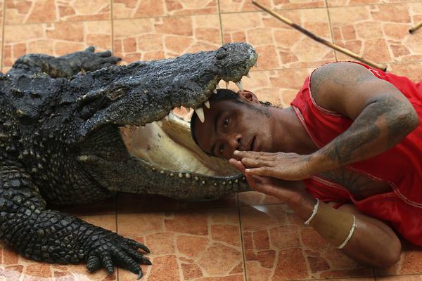 百世重修txt全集下載