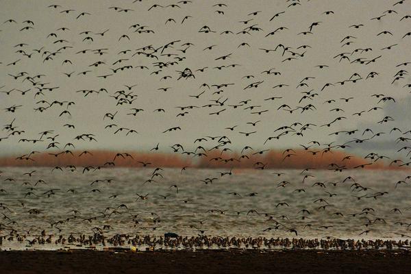 余味by父女全文免費閱讀