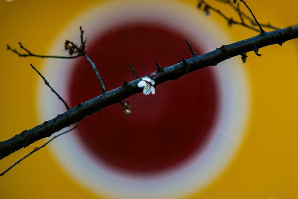 玉丸by全文免費閱讀筆趣閣