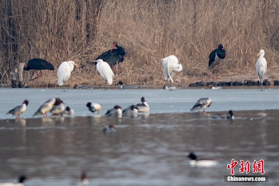 不見上仙三百年講了什么故事