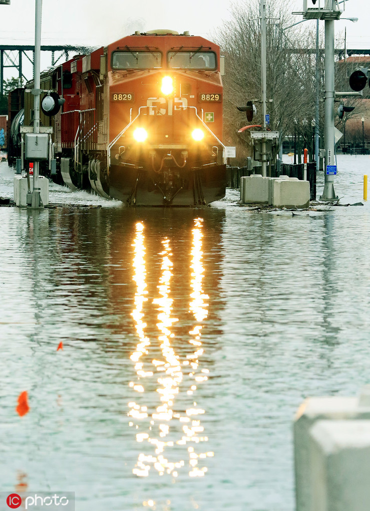 姑父寵溺(完結)糖糖在線閱讀免費