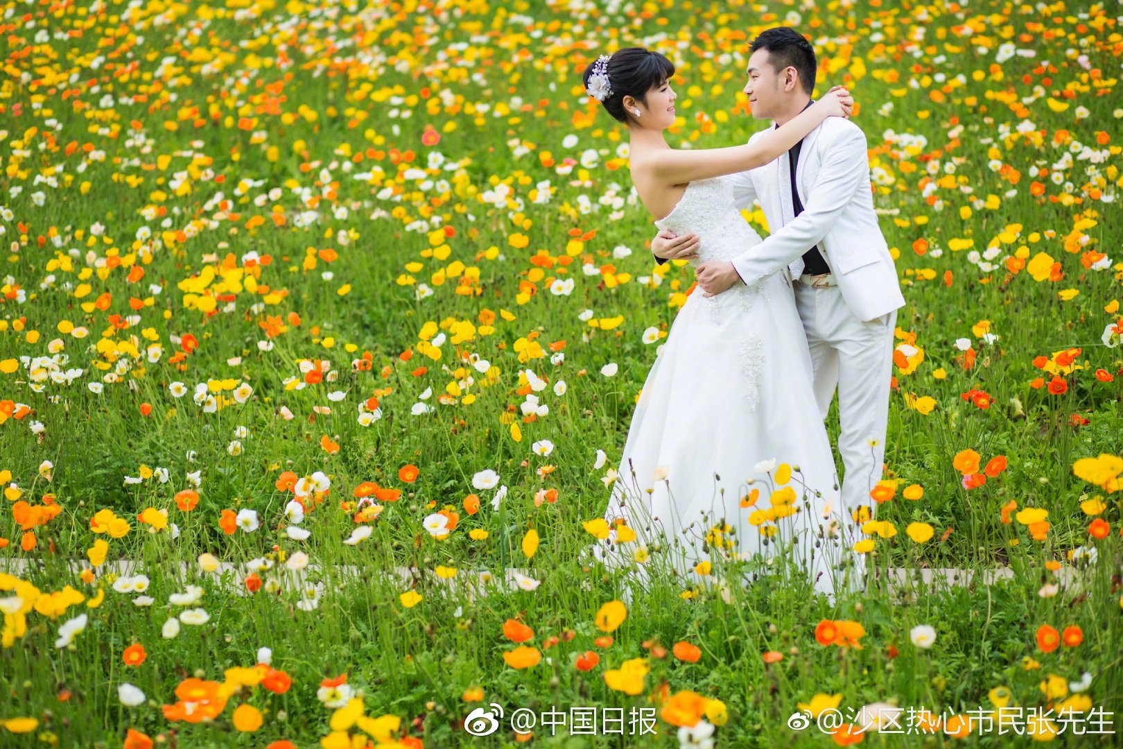 沉醉何歡涼txt下載