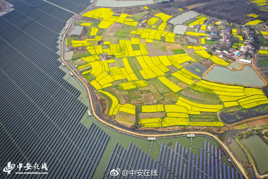 折翼天使TXT書包網