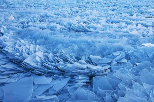 《她似火》by臣言全文免費閱讀