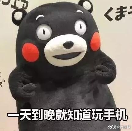 葉凡和雨妃的最新更新內容