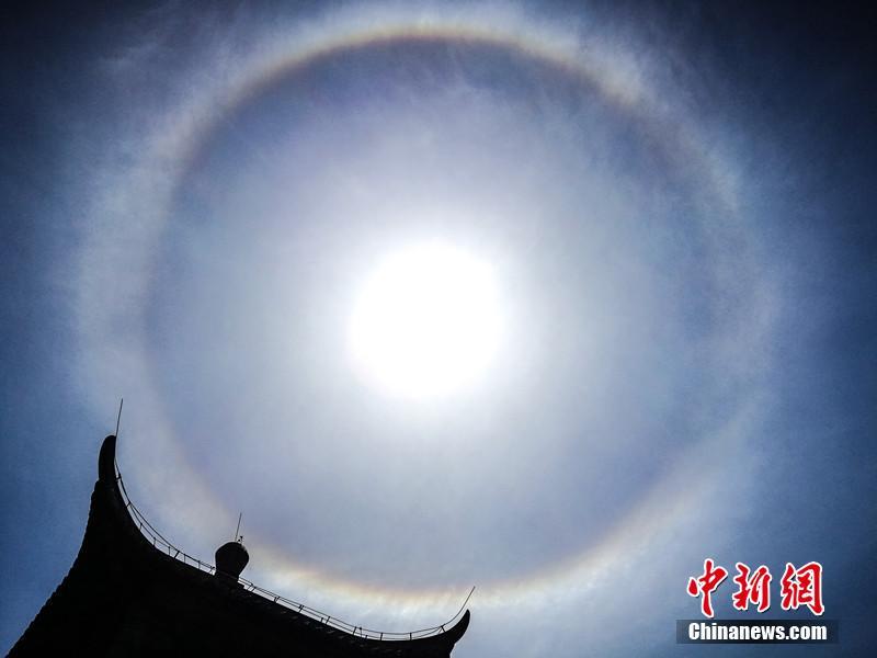 惡毒炮灰他不想活了by棺木閱讀全文TXT下載