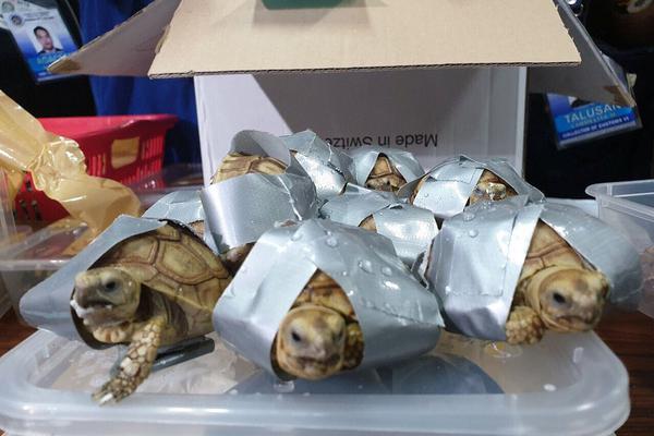 80txt電子書最強(qiáng)棄少