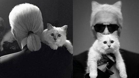 竹馬本想趁虛而入[電競]