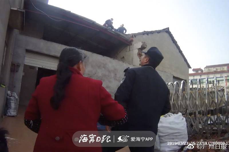 多么神奇的娃by柴雞蛋番外