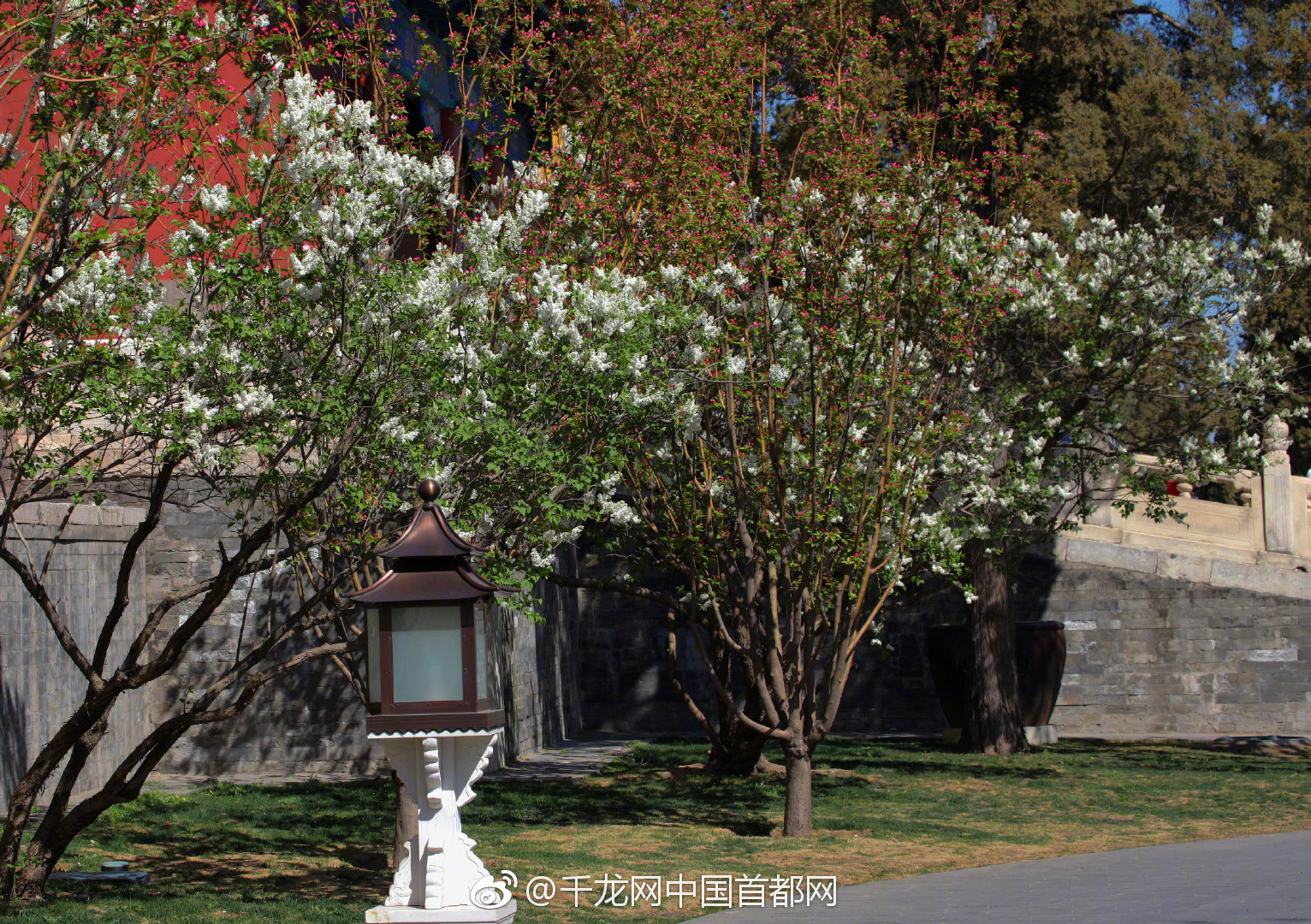 大佬們1v3金銀花筆趣閣免費