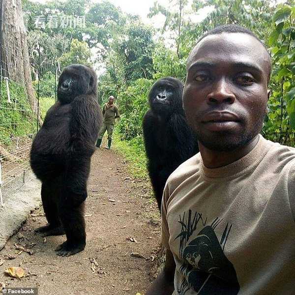 《蠶食》 by:挽月