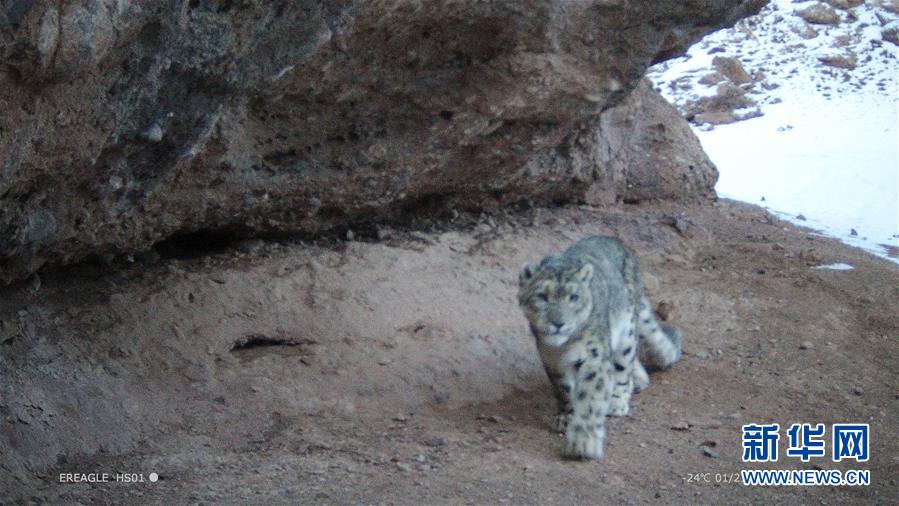 寵你一生(雙)紅茶瑪奇朵番外