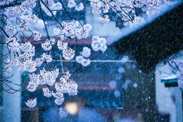 一秒心動txt百度網盤