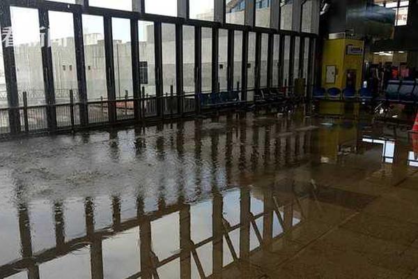 笨蛋美人又又又被欺負了筆趣閣