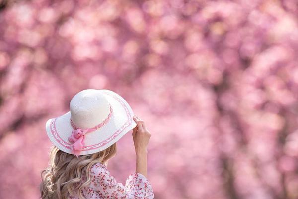 《部長別這樣》完整版觀看免費