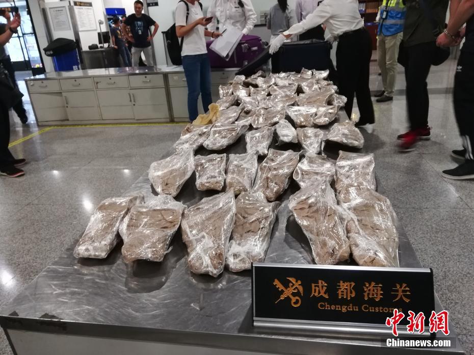 真真假假by左岸講的什么