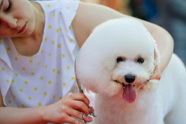 一行白鷺by清明谷雨 番外