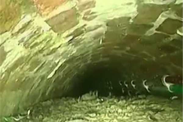 垂涎by弄簡著txt筆趣閣