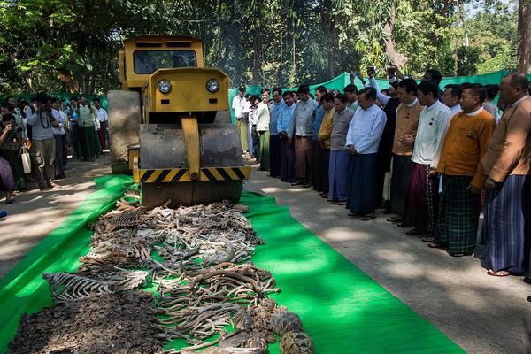 穿進(jìn)全是男人世界(np)全文免費(fèi)閱讀