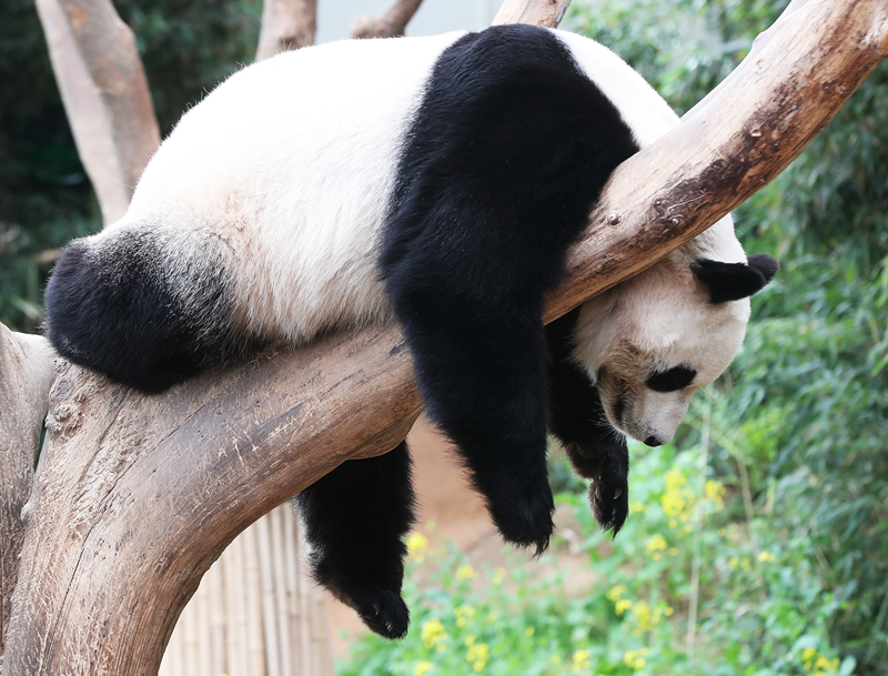意外事故by山月辭歡簡介