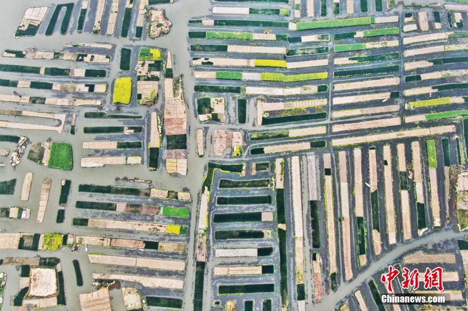 《病嬌女仆》動浸免費觀看高清