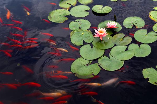 暗河長(zhǎng)明下載TXT電子書(shū)免費(fèi)下載