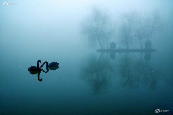 昨天風弄筆趣閣TXT