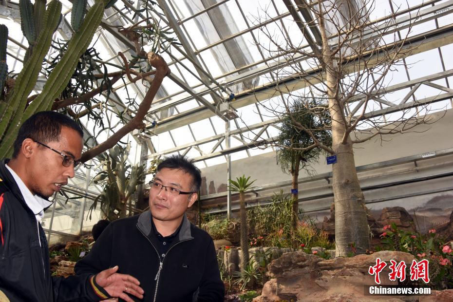 穿進賽博干掉bossTXT下載