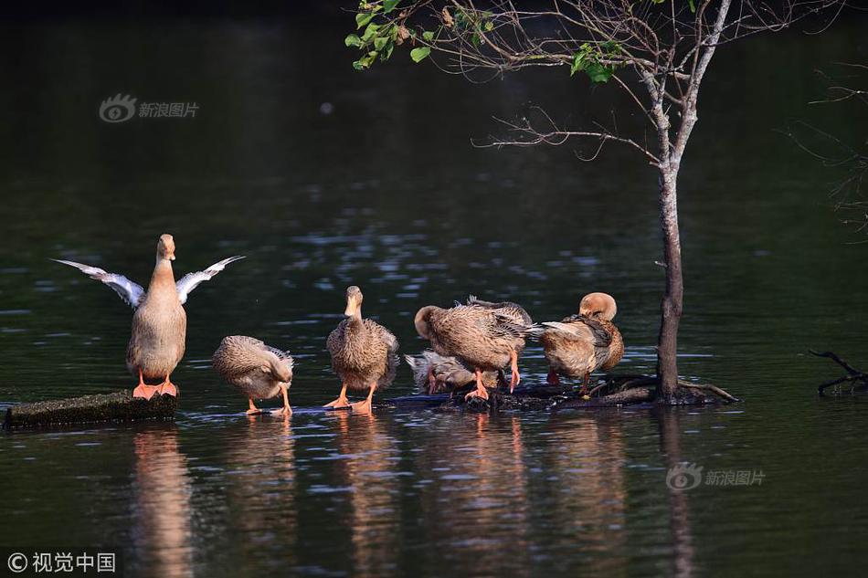 青梅騎竹馬(1v2)_欲歸完結了嗎